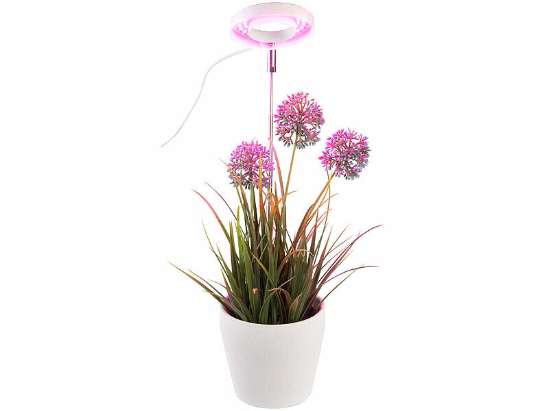 Audasi Lampe De Croissance LED Spectre Complet 80 LED - 4 Têtes Réglables 360° Avec Télécommande Pour Plantes D'Intérieur