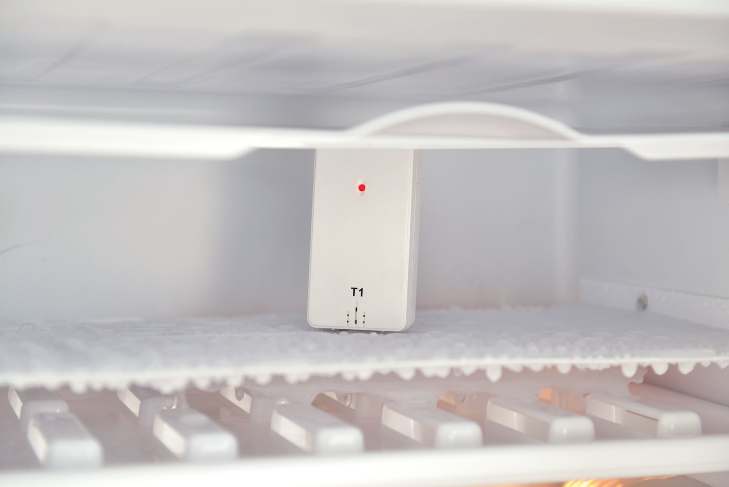 Rosenstein & Söhne Thermomètre digital sans fil pour réfrigérateur et  congélateur avec : : Gros électroménager