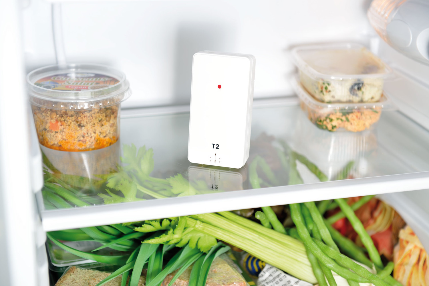 Accessoire Réfrigérateur et Congélateur GENERIQUE Thermomètre digital sans  fil pour réfrigérateur et congélateur avec 2 capteurs