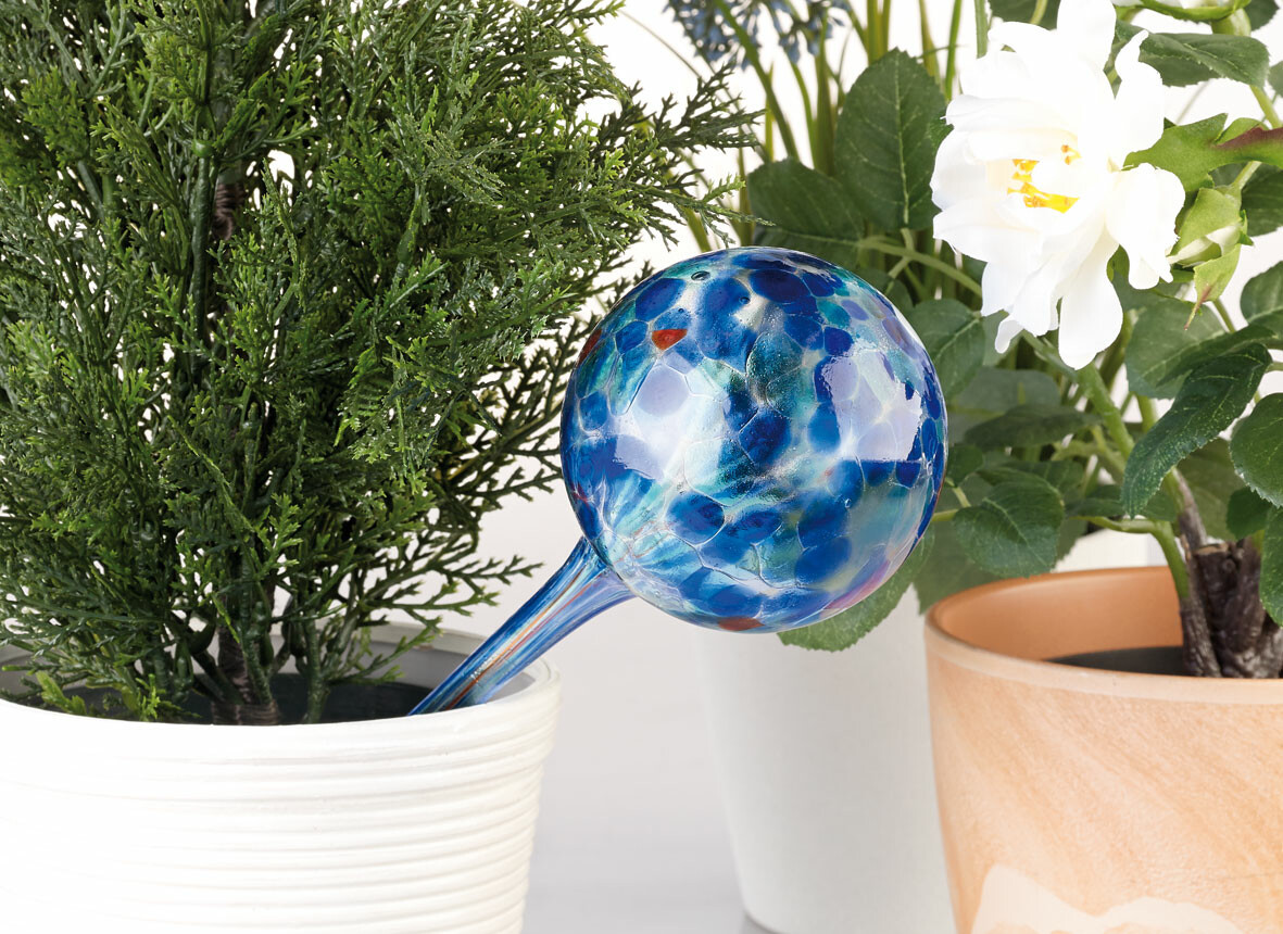 Globes d'arrosage en plastique lot de 4 distributeur eau plantes