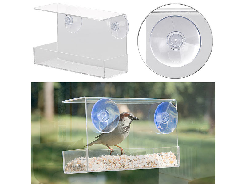 Mangeoire à oiseaux transparente en acrylique, ventouse, nichoir