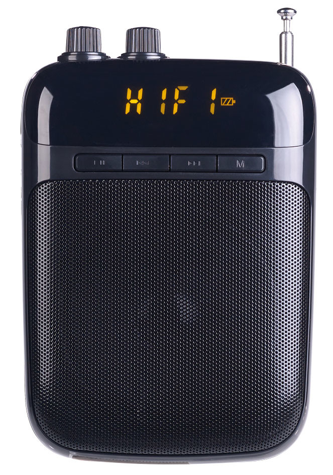 Amplificateur de voix pour Présentations, avec enregistreur vocal et Radio  MP3, Microphones