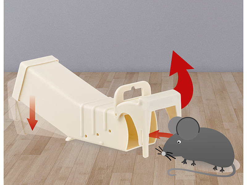 Découvrez l'astuce pour éloigner les rats sans pièges ni poisons