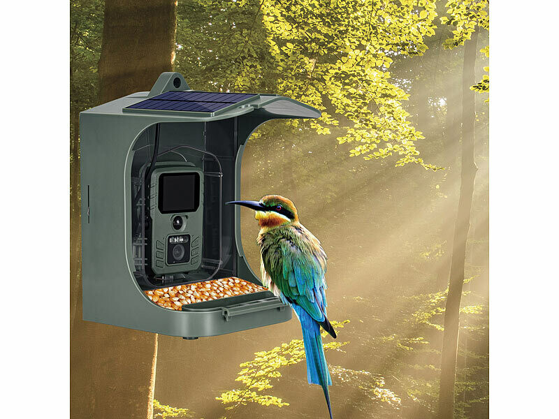 Acheter Mangeoire à oiseaux intelligente Sagit avec caméra, suspension  extérieure, caméra HD 1080P version nocturne, mangeoire à distance WiFi  pour observation des oiseaux
