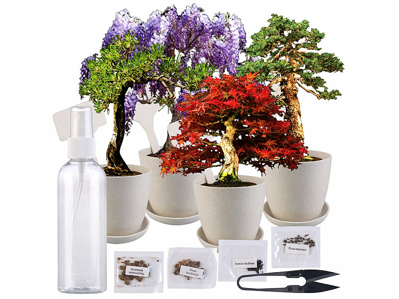 Kit de 6 plantes aromatiques avec manuel de culture