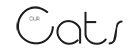 our Cats