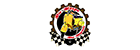 Die Wespe