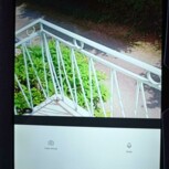 photo avis client